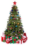 Feng Shui Advice for Placing the Christmas Tree